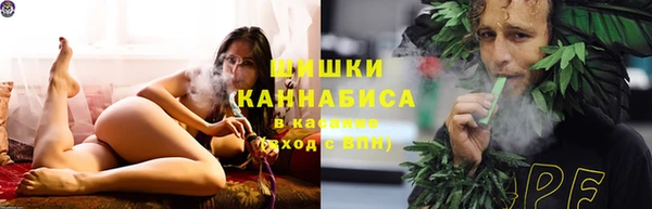 шишки Рославль