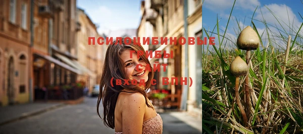 не бодяженный Алзамай