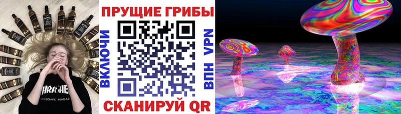 Галлюциногенные грибы Psilocybe  Мытищи 