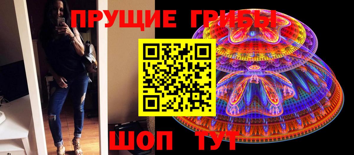 Псилоцибиновые грибы MAGIC MUSHROOMS  Вход с VPN  Галлюциногенные грибы GOLDEN TEACHER  как найти закладки  Мытищи 