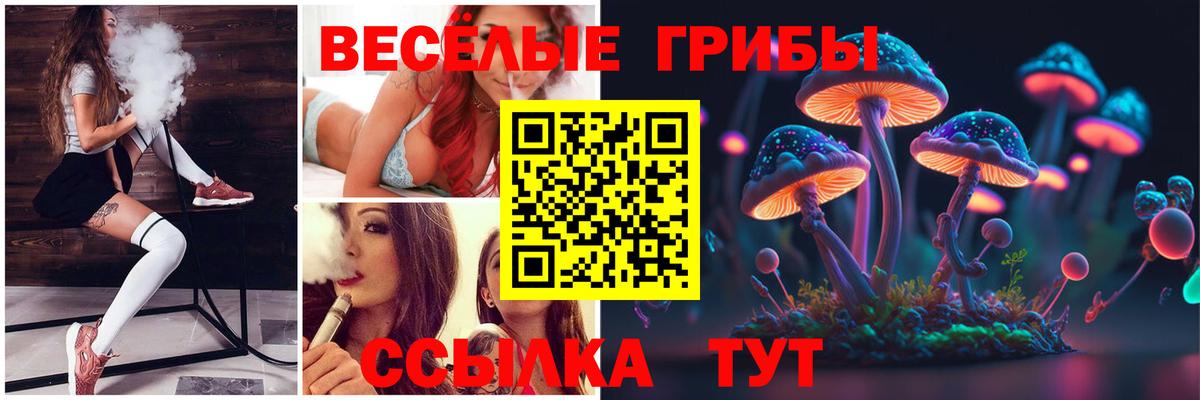 Галлюциногенные грибы прущие грибы Мытищи
